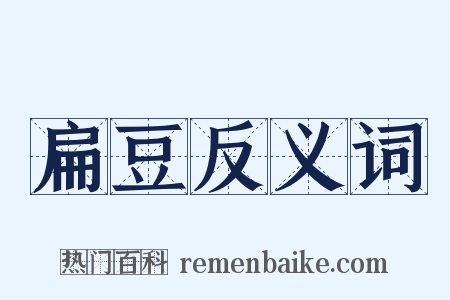 扁豆反义词是什么意思的图片